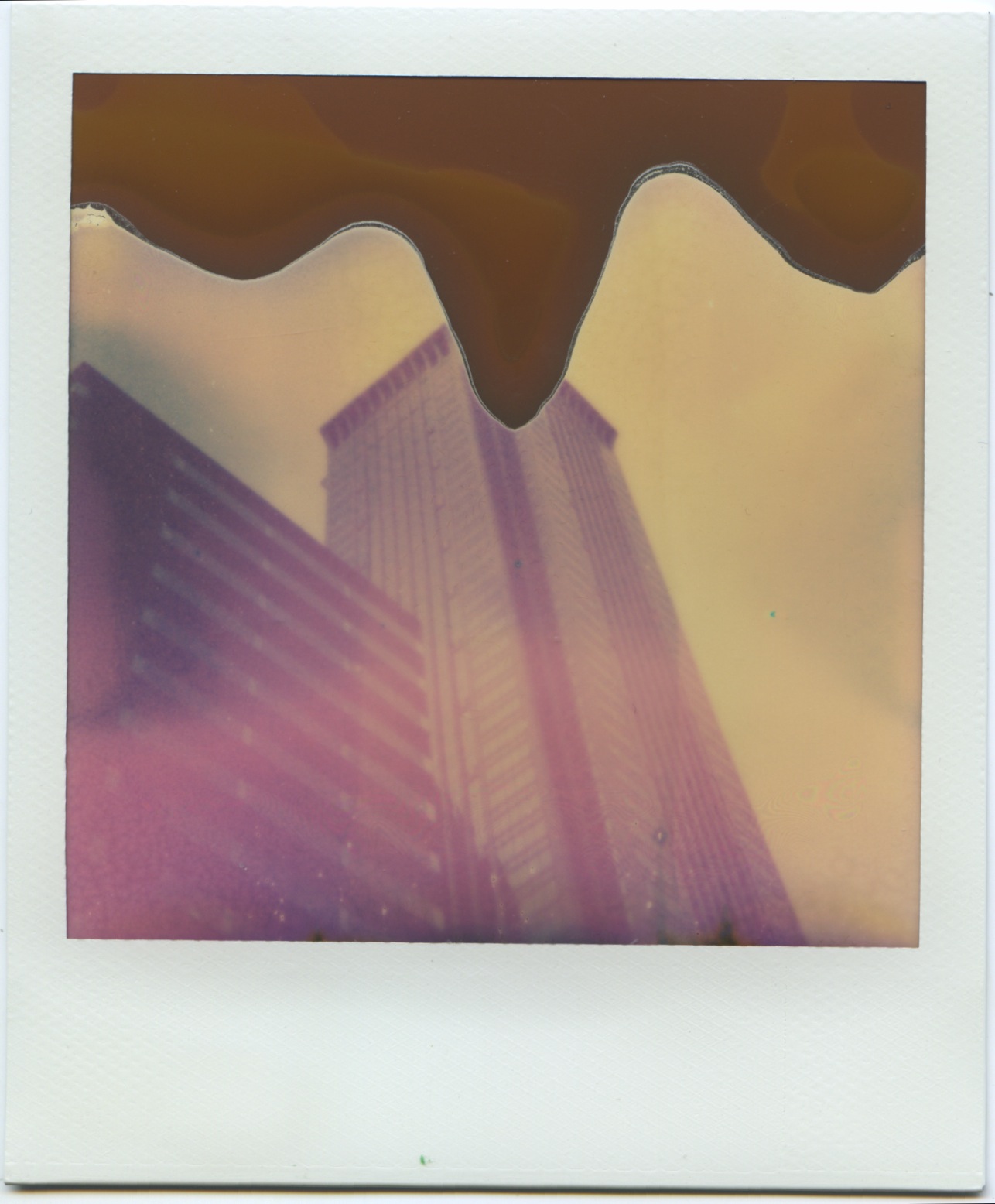 polaroid 6.jpeg
