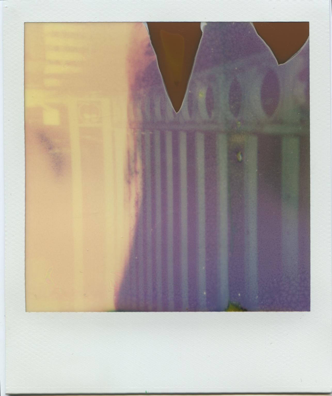 polaroid 9.jpeg