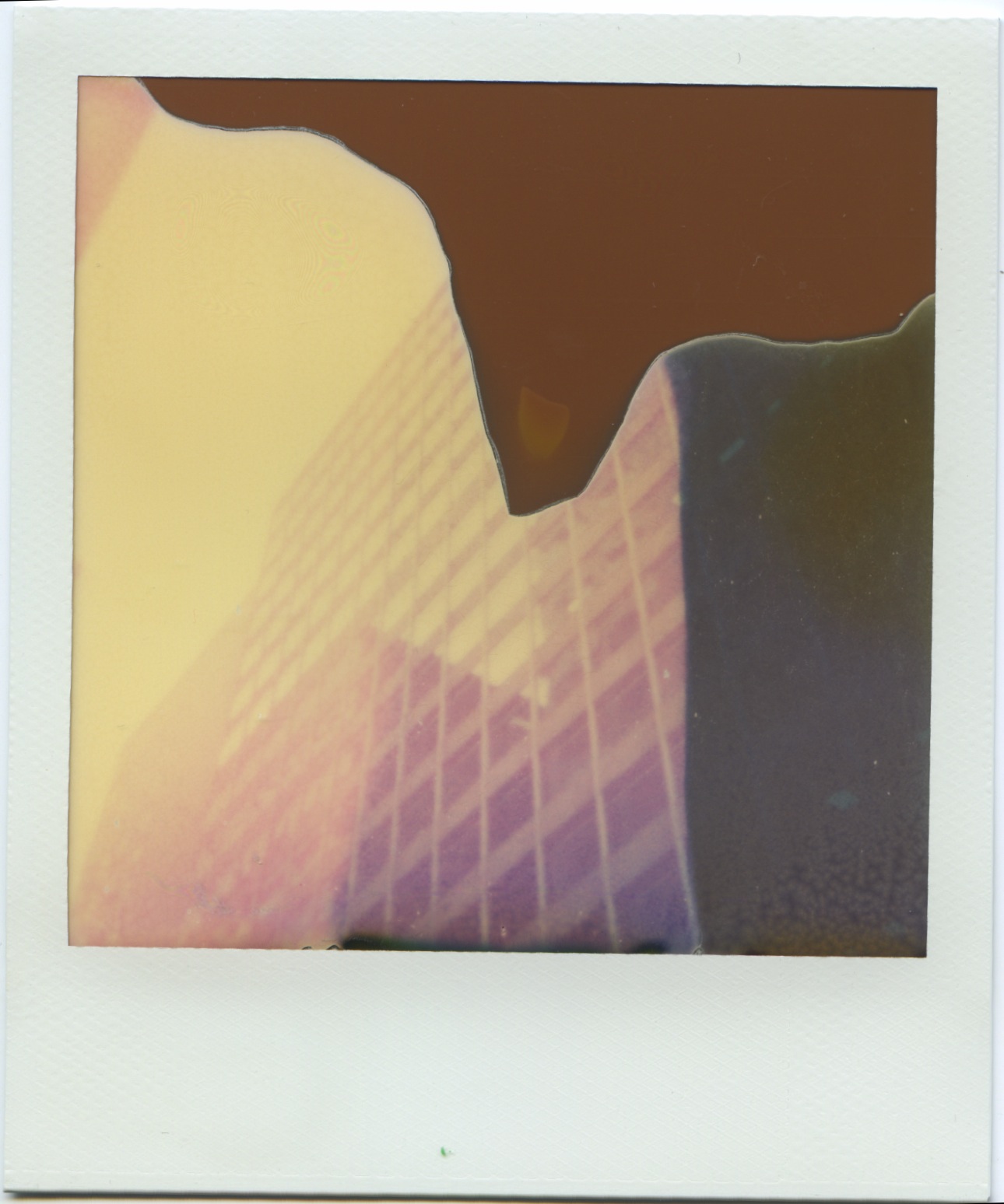 polaroid 10.jpeg