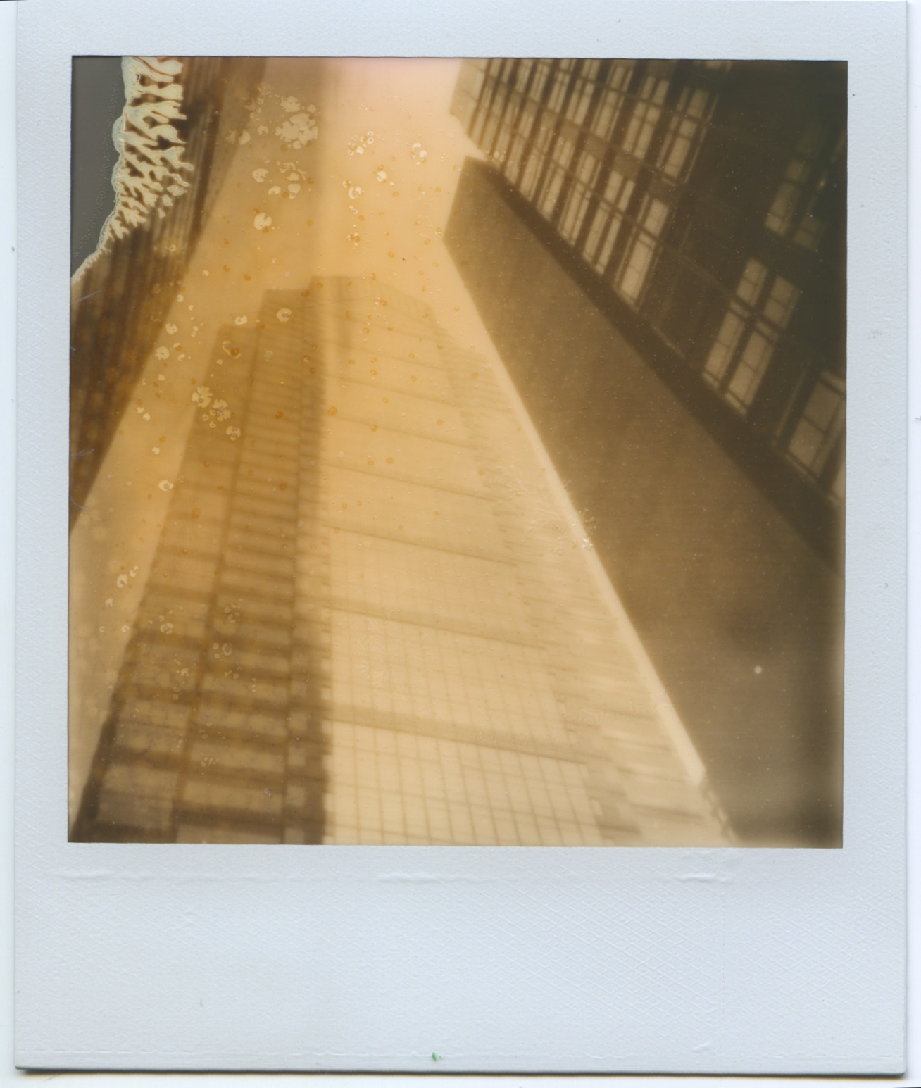 polaroid.jpeg