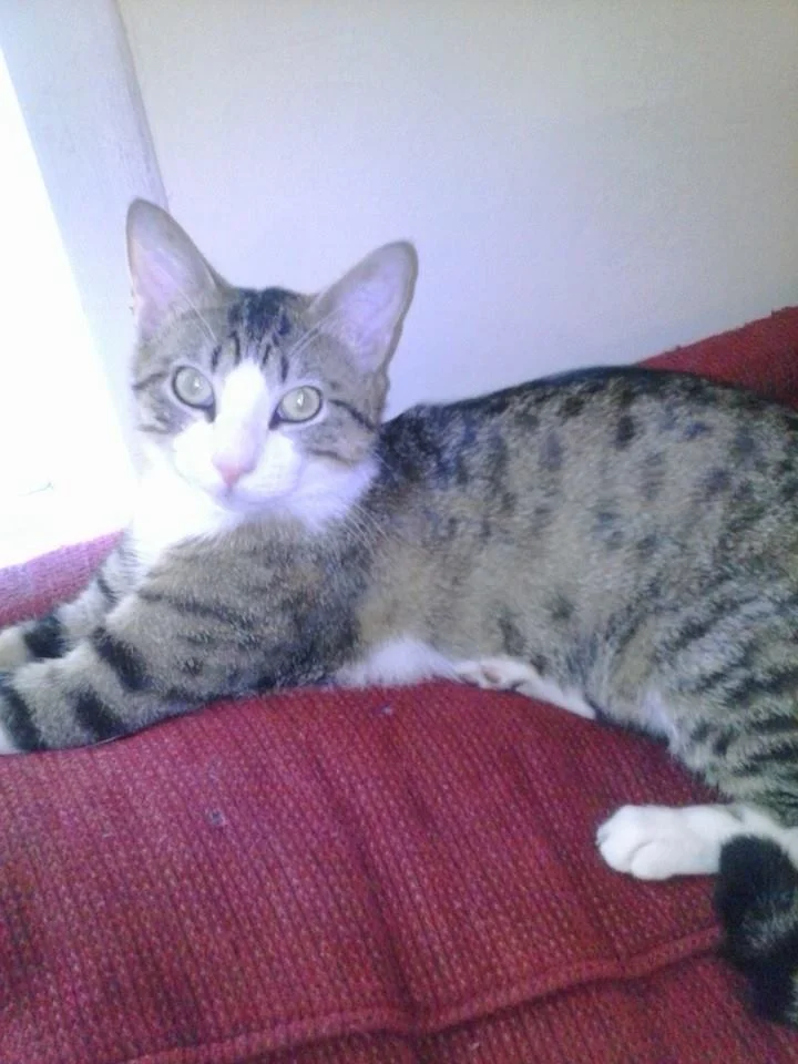 Look at that face. SO HANDSOME.