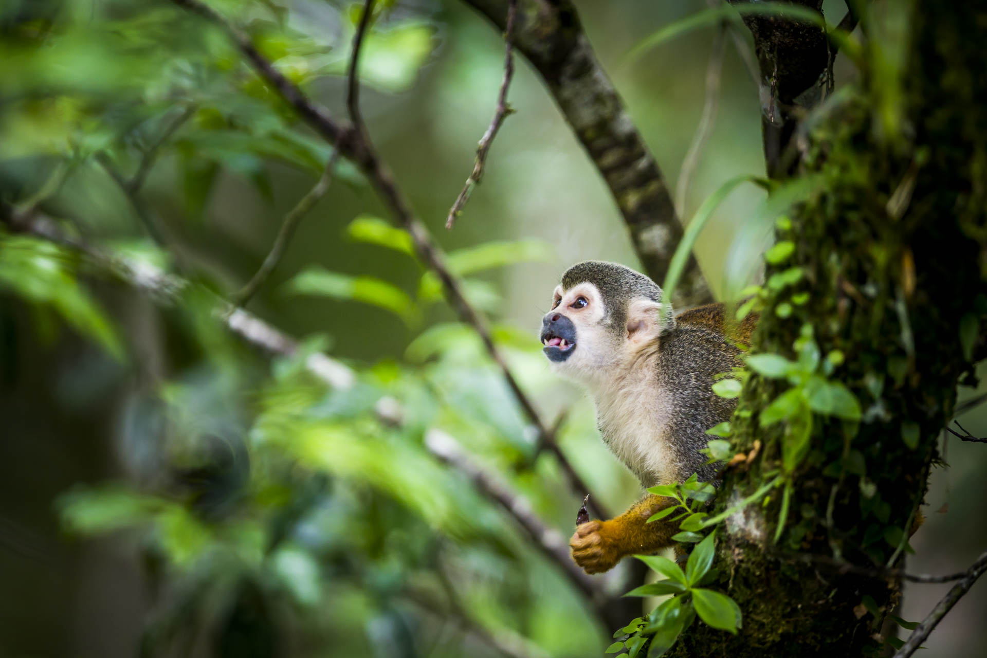 equateur©stephaneleroy-14.jpg