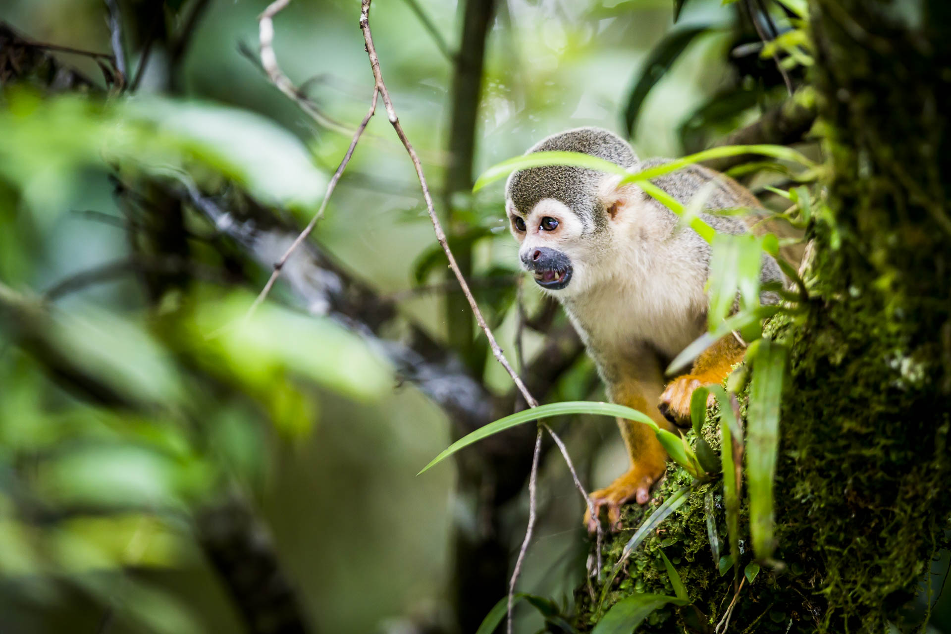 equateur©stephaneleroy-15.jpg