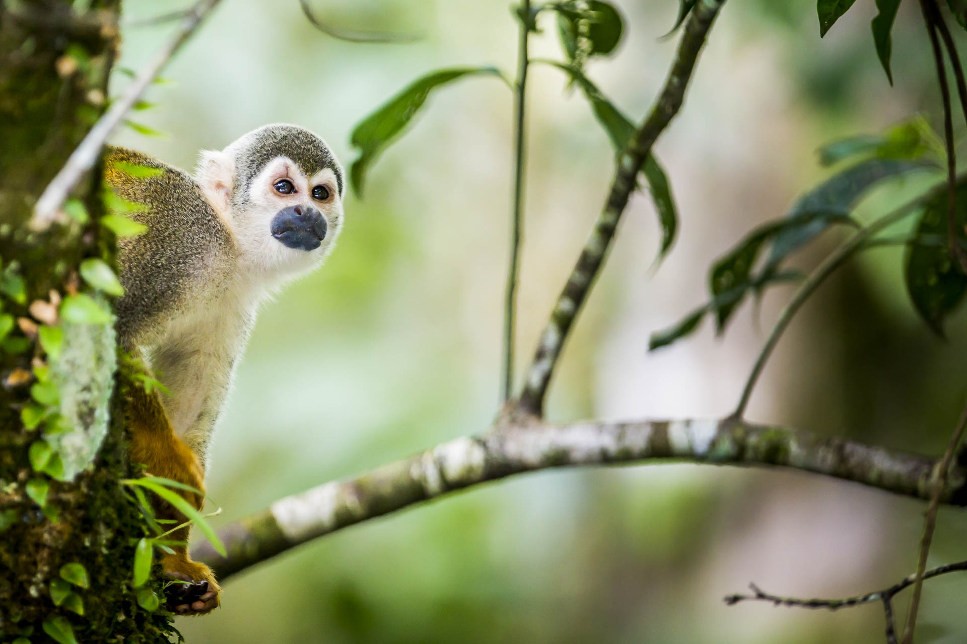 equateur©stephaneleroy-13.jpg