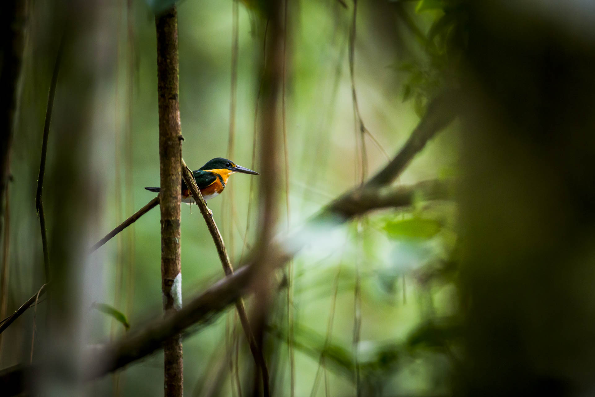 equateur©stephaneleroy-9.jpg