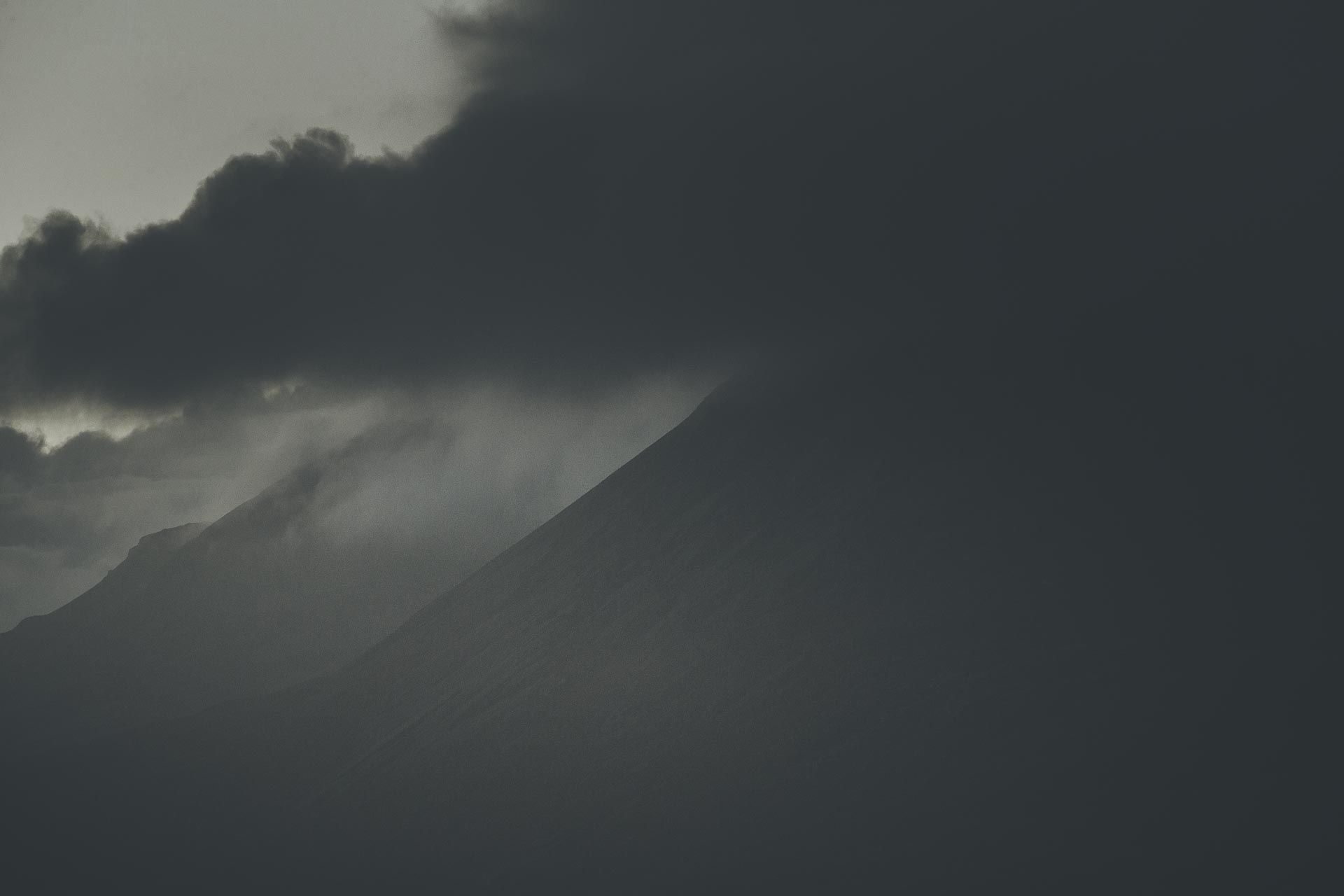 Brame du cerf Ile de Jura