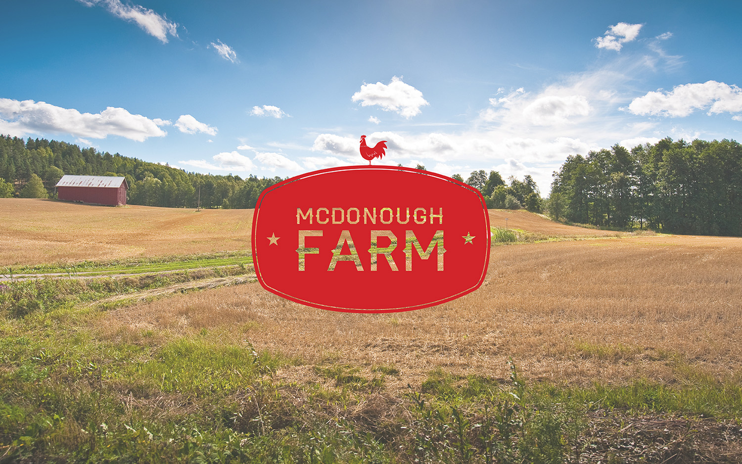 mcd farm logo-01.jpg