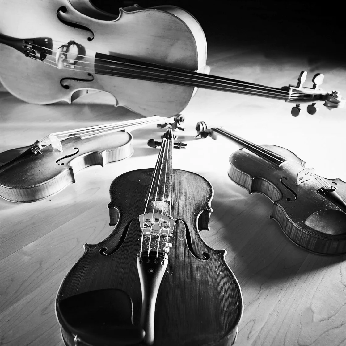 string+quartet+instruments.jpg