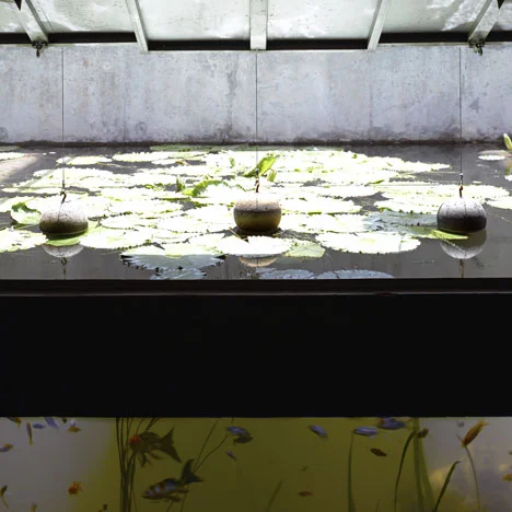 House With Balls (8).jpg