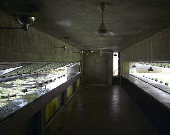 House With Balls (7).jpg