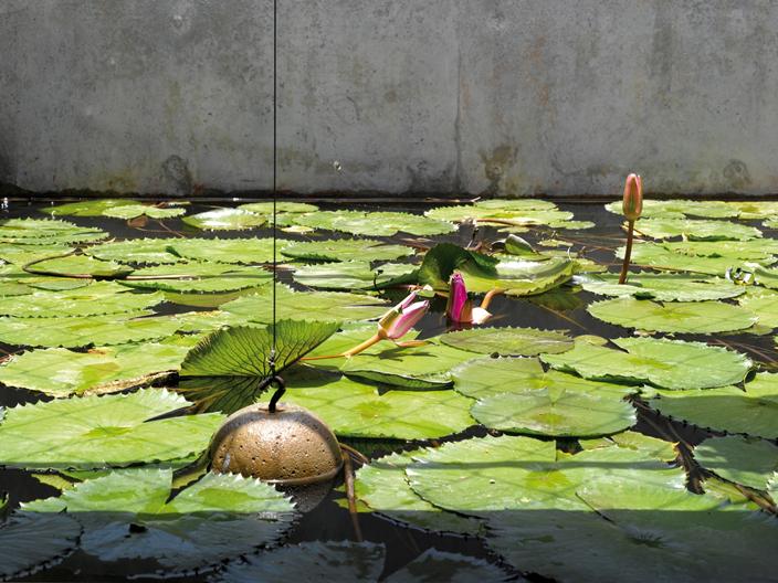 House With Balls (9).jpg