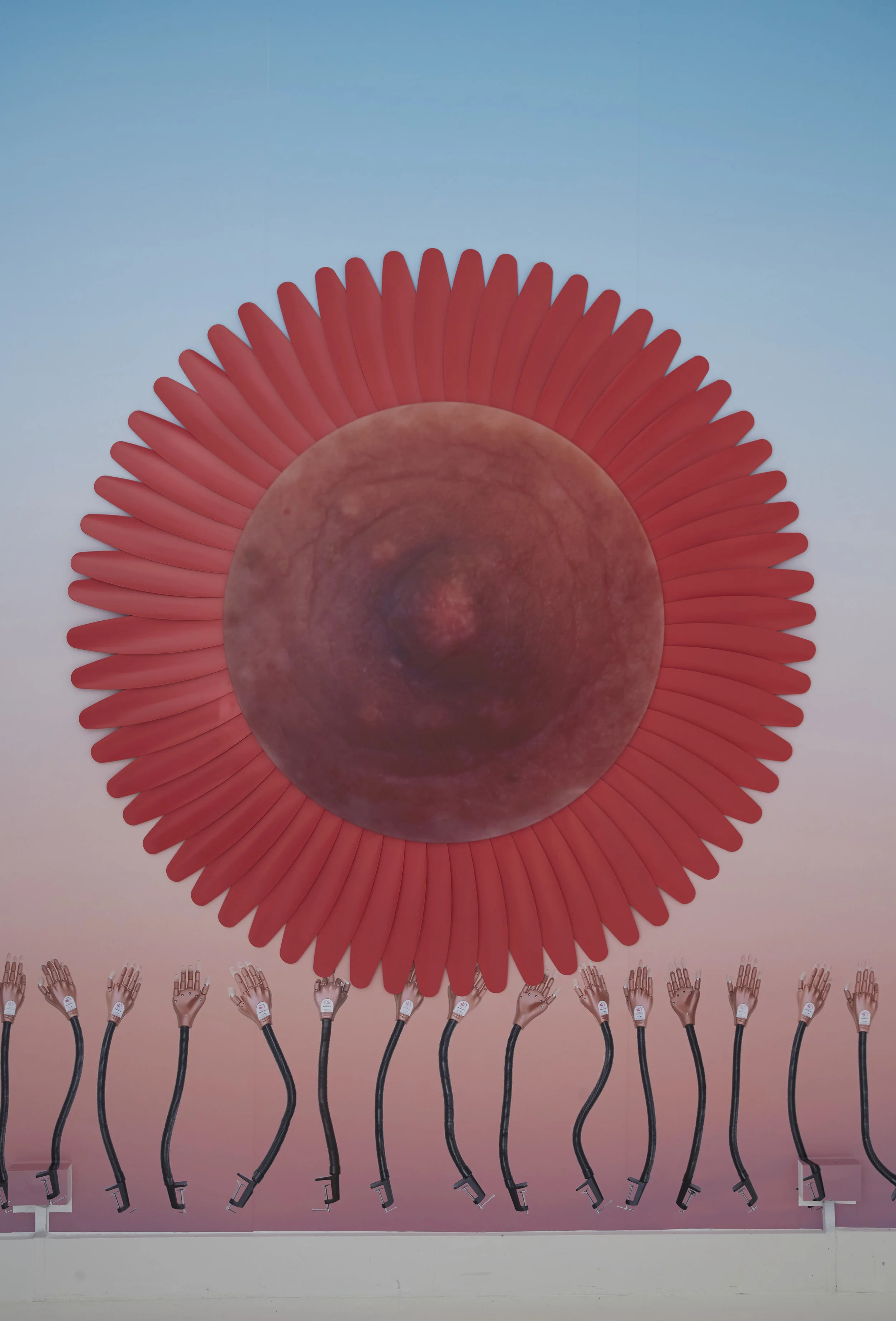 Flower Nipple Strawberry Red, photograph printed on coloured Perspex, aluminium, wallpaper, 190x190 cm, 2019.