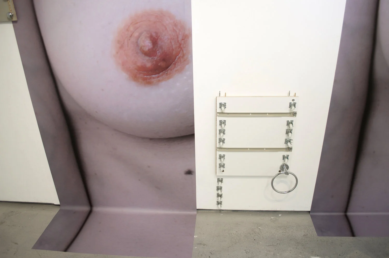 The Anatomized series are 3 consecutive installations made between 2017 and 2018. Each installation is presented as a set, referencing displays seen in commercial environments. The appropriation of materials and objects of everyday life is essential to the final composition of the sets. Each set uses its own language, with specific materials and objects. Collectively, the sets are an attempt to examine the genesis of female identity from different angles.