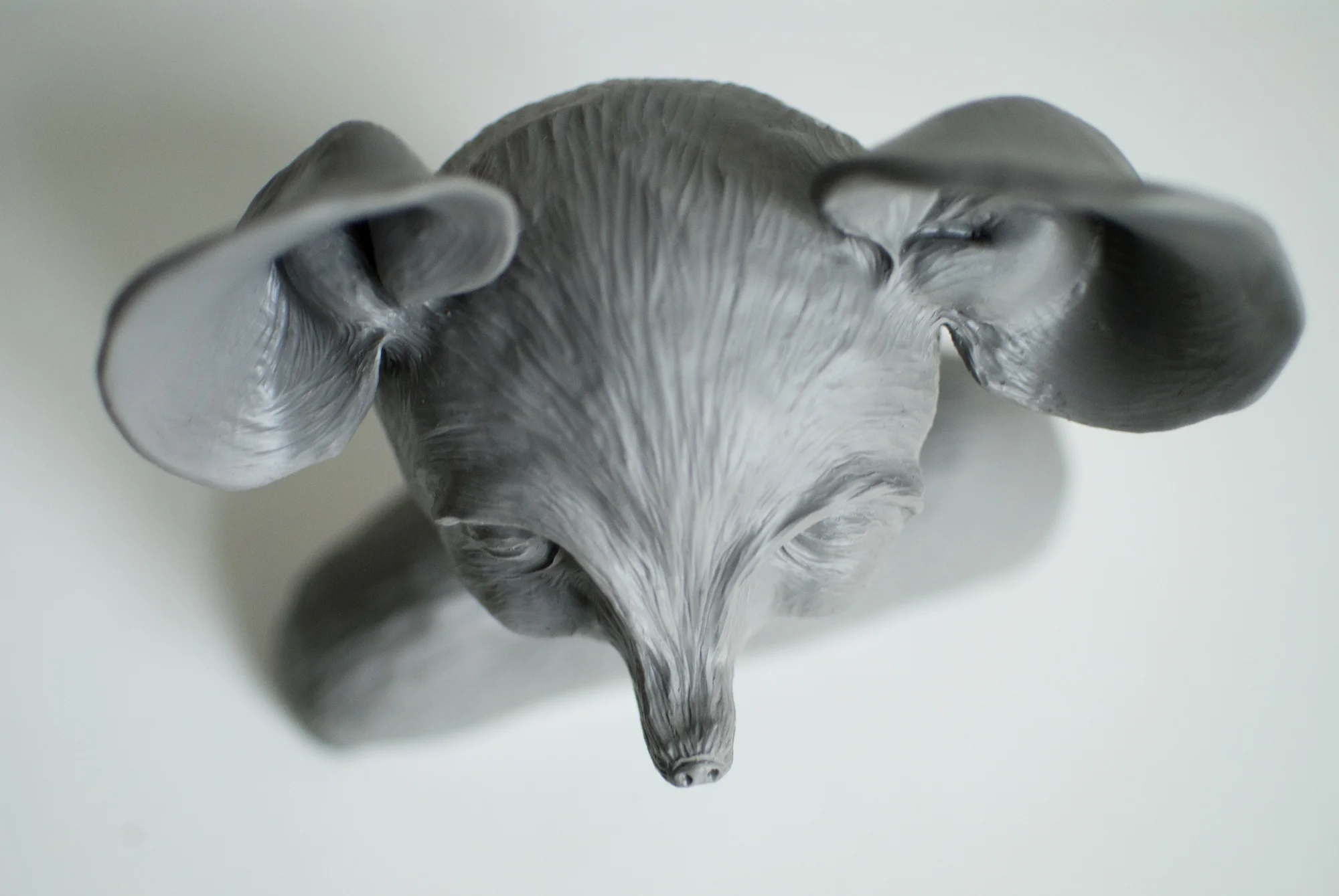 Mouse with substantial ears