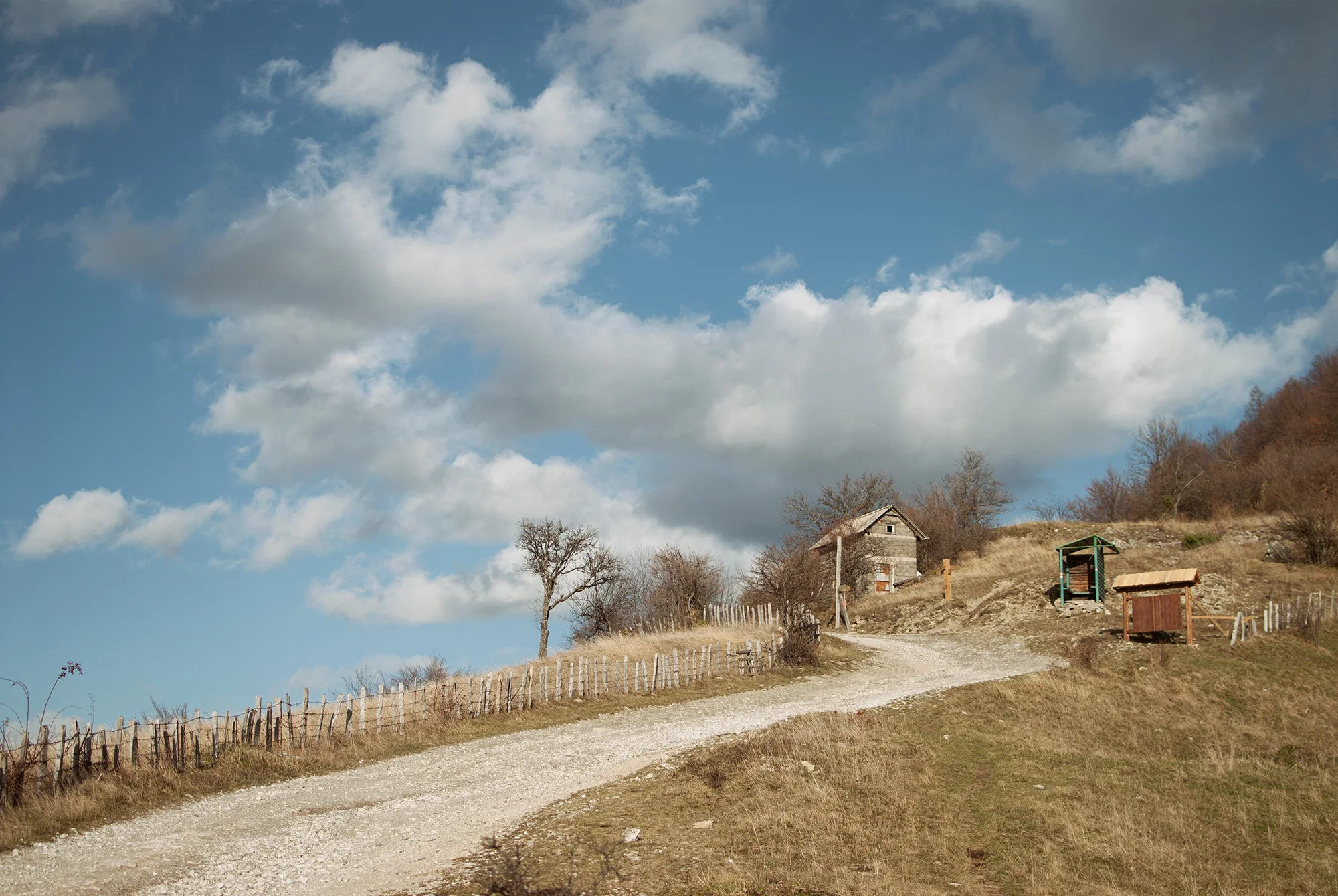 Skakavac, 2014