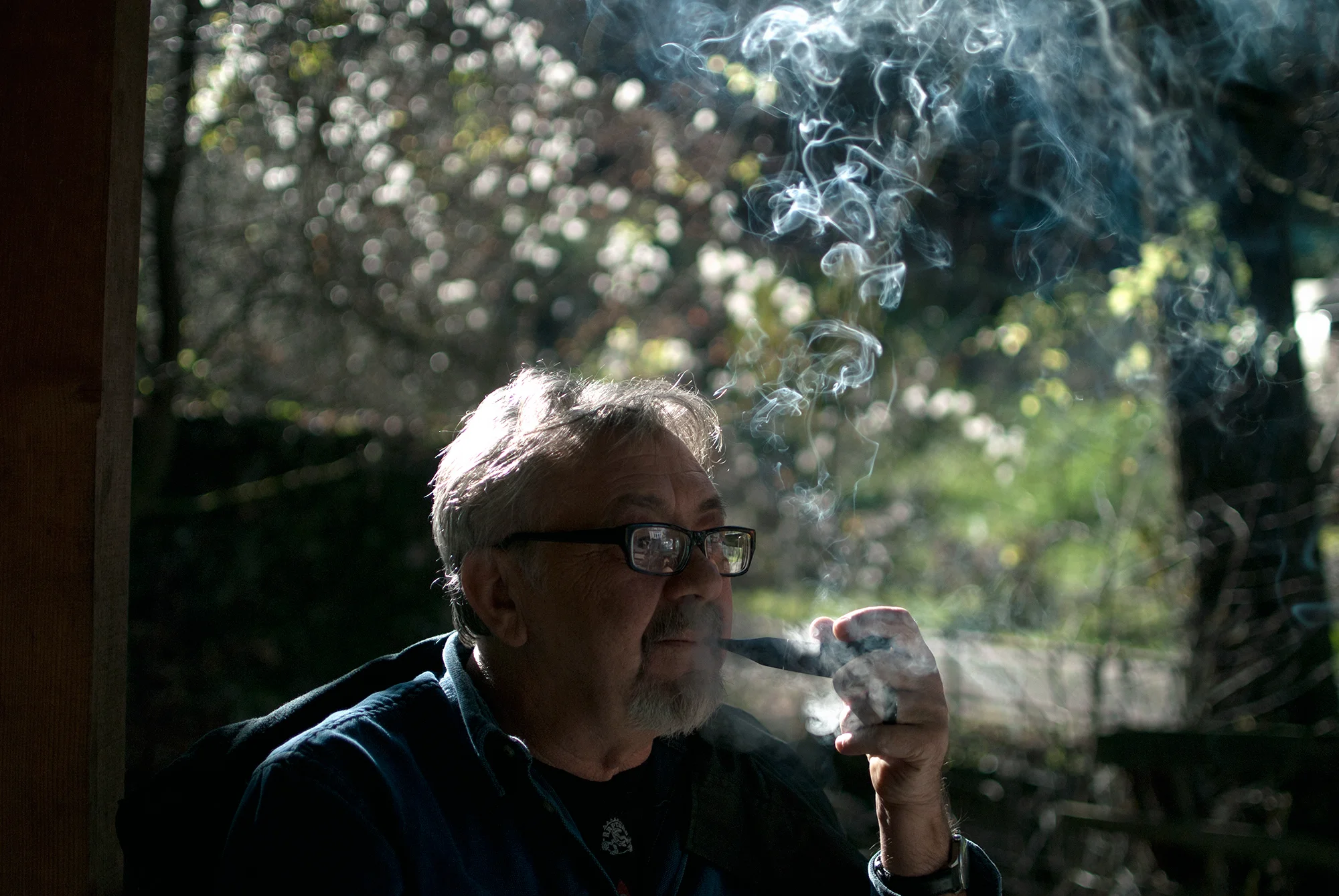 Goran - Skakavac, 2014