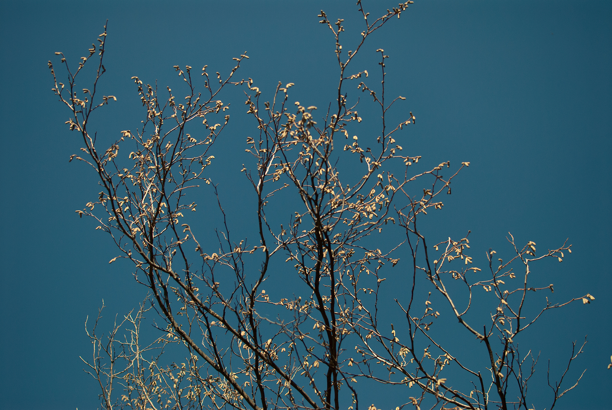 Nature - Skakavac, 2014