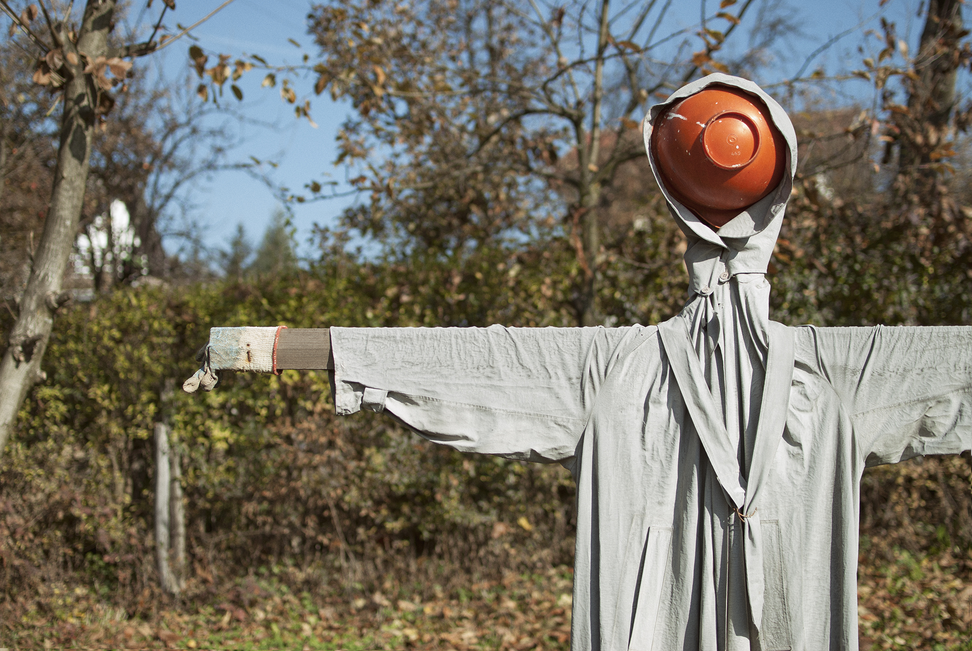 Scarecrow - November 2015