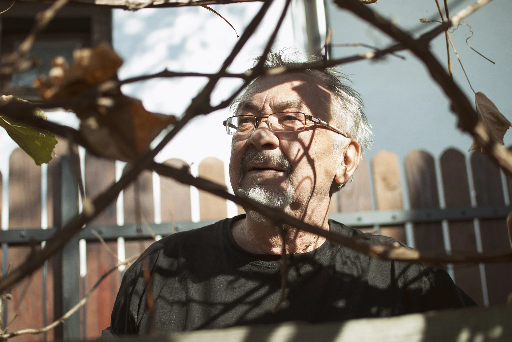 Goran Searching for the Last of the Grapes - November 2015