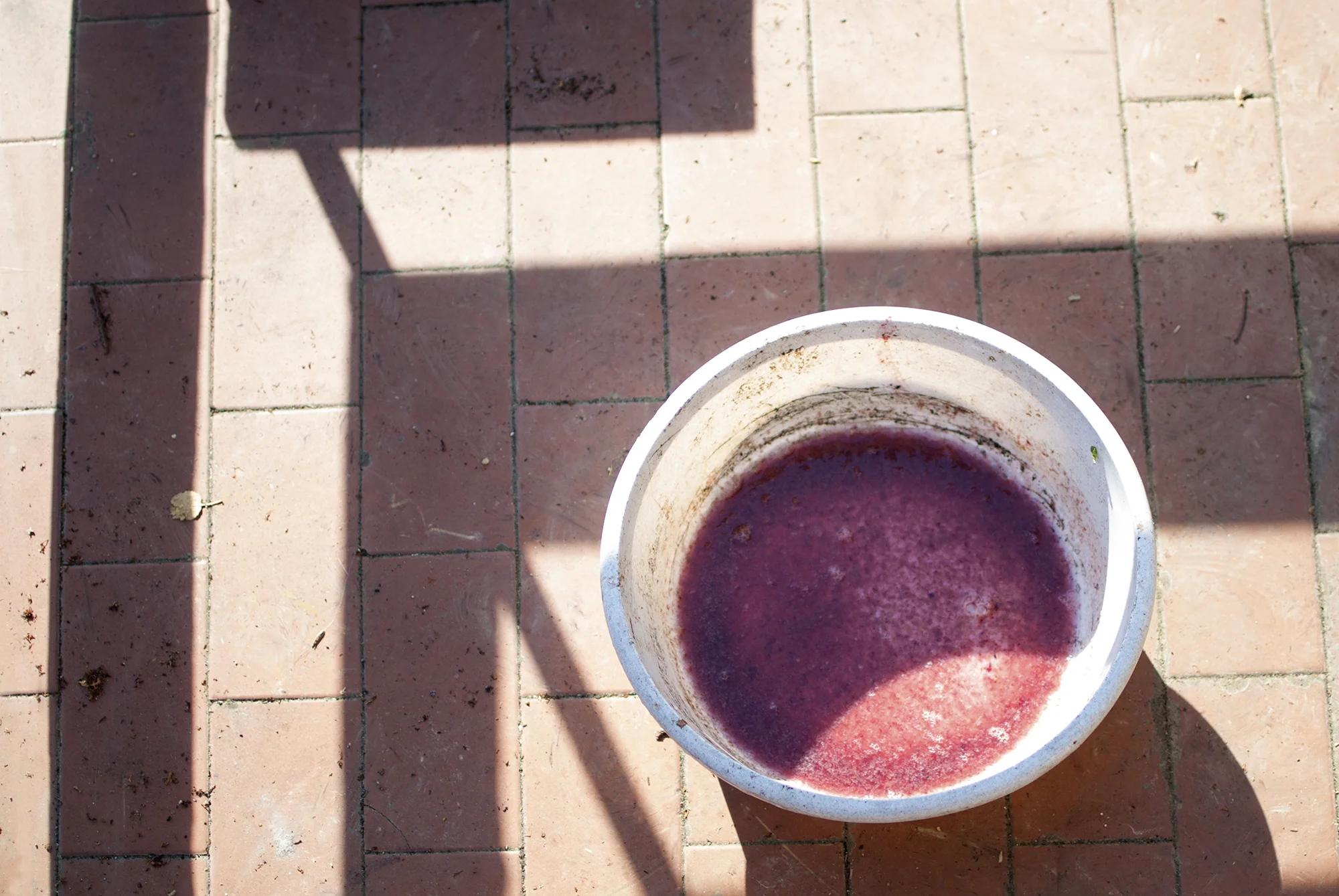 Grape Juice - November 2015