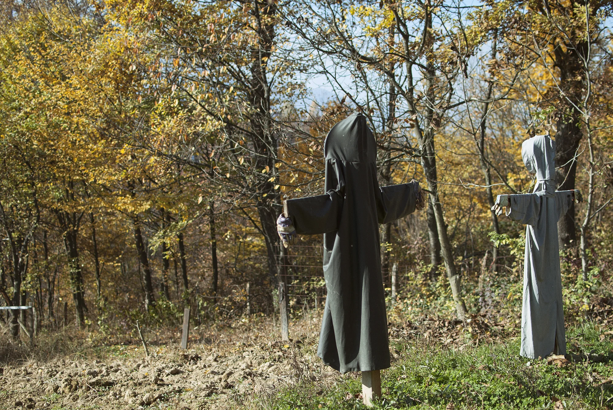Two Scarecrow - November 2015