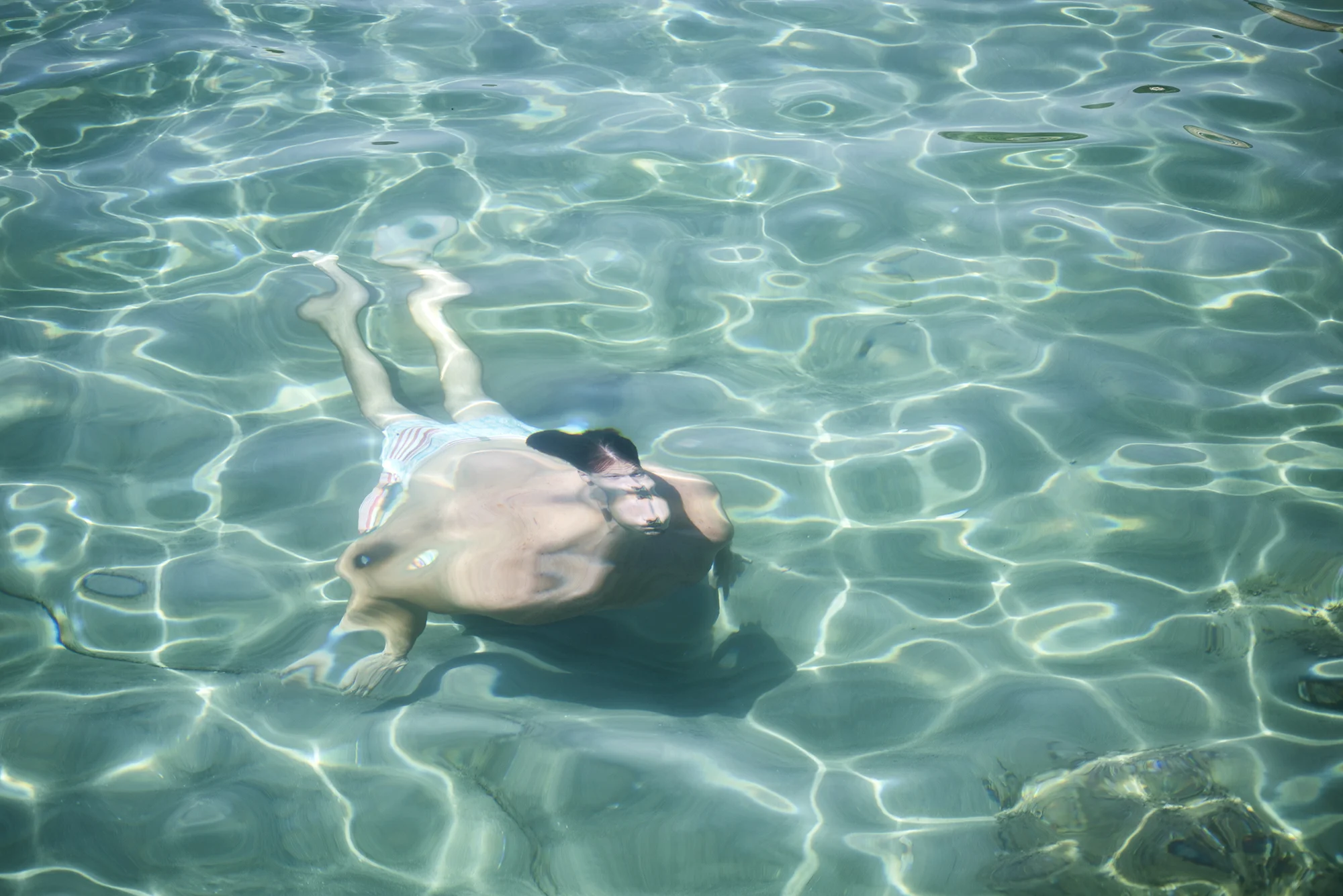 Fish 1