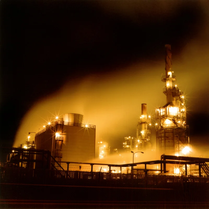 longbeach_back.jpg