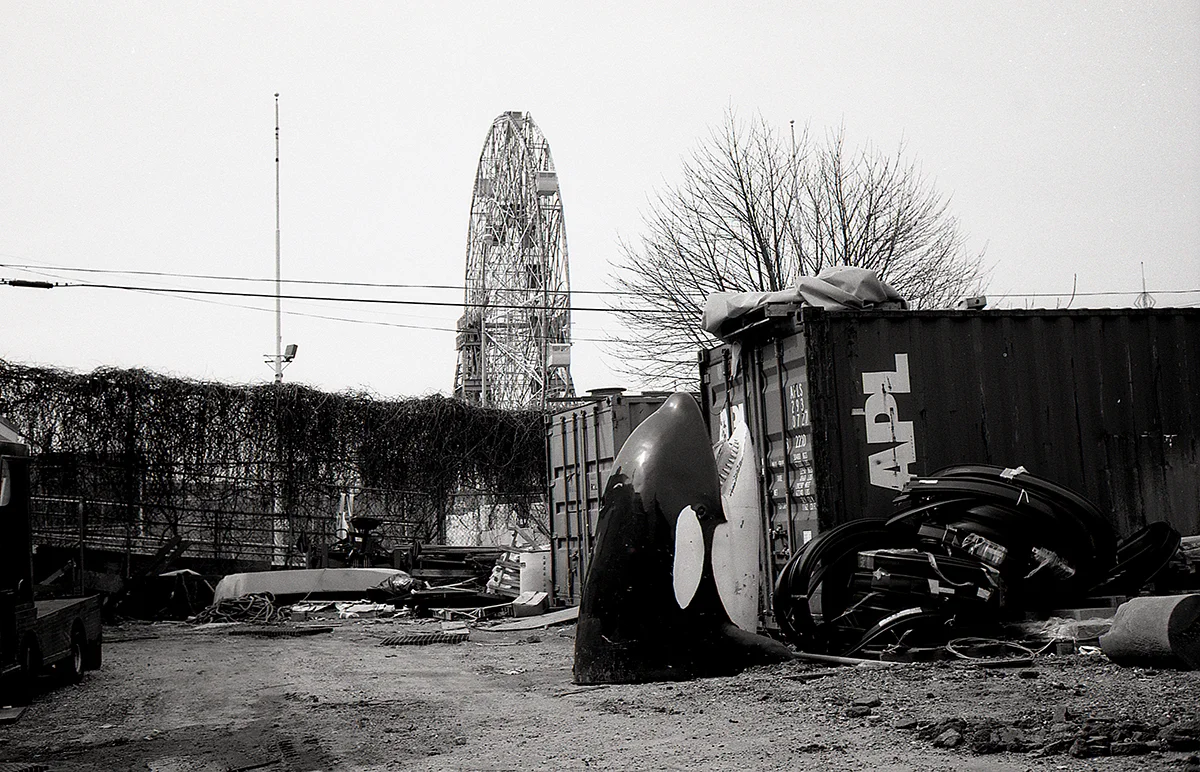 Coney Island, NY