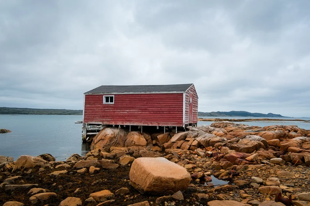 Fogo_web-23.jpg