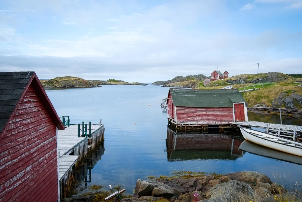 Fogo_web-31.jpg
