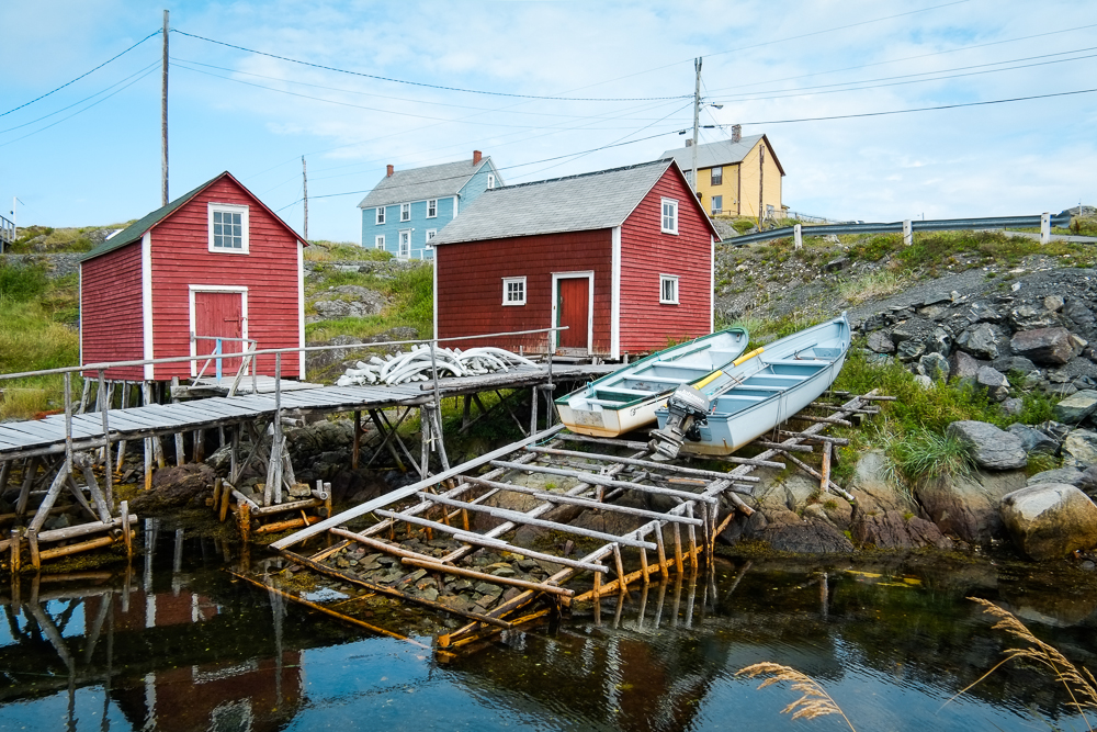 Fogo_web-32.jpg