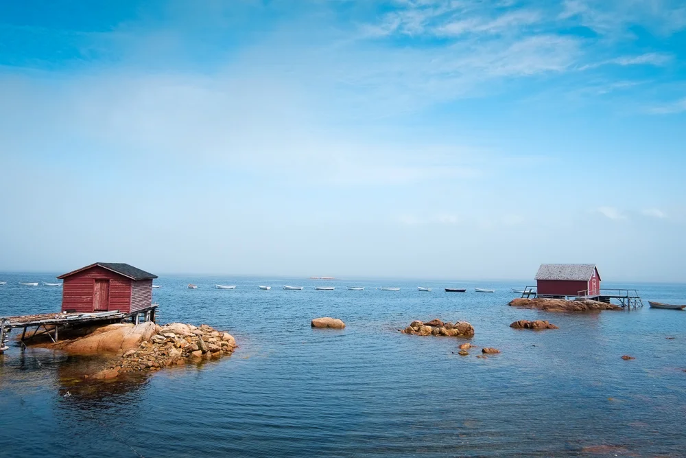 Fogo_web-35.jpg