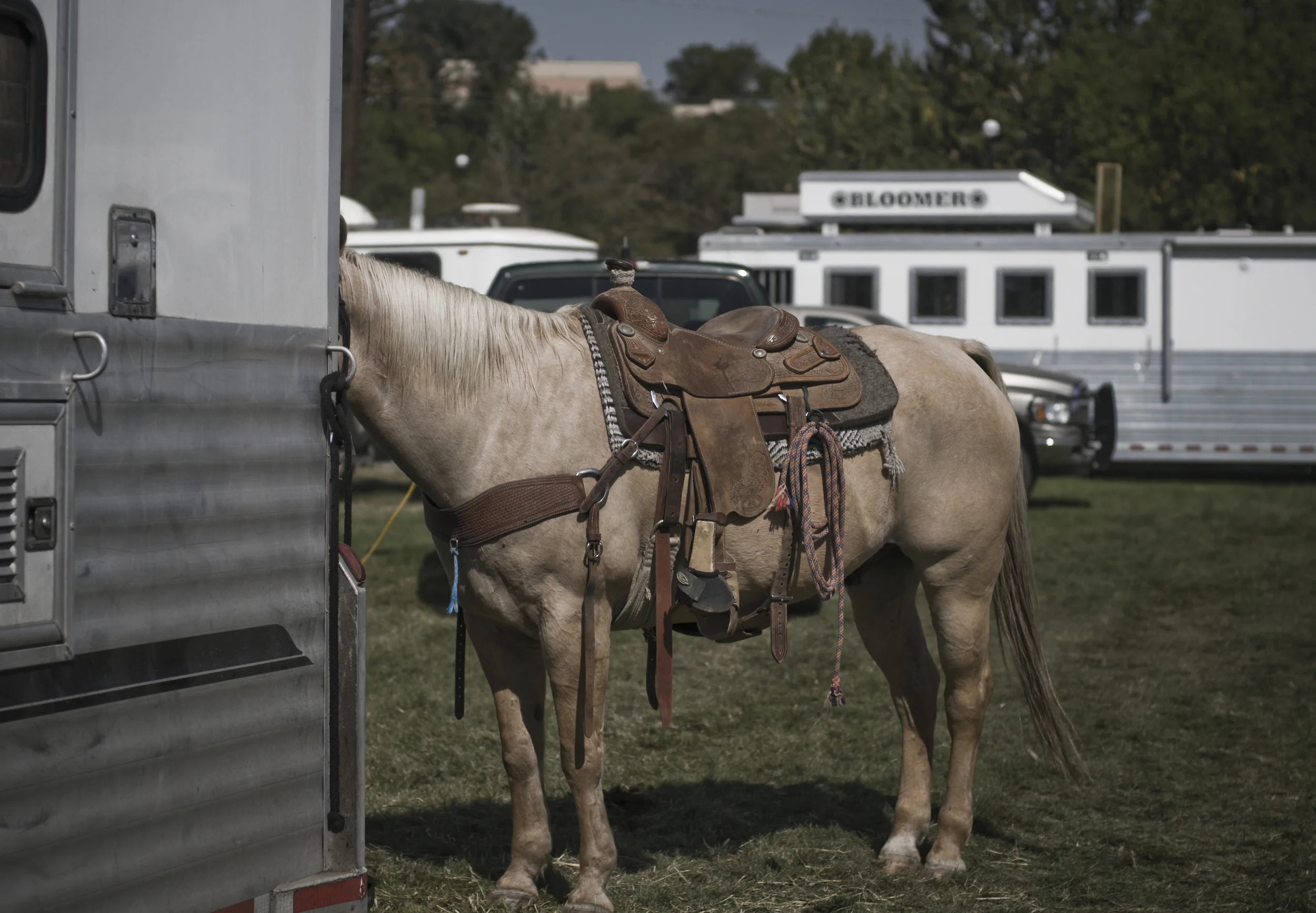 Pendleton Round-Up 2009_3949177281_o.jpg