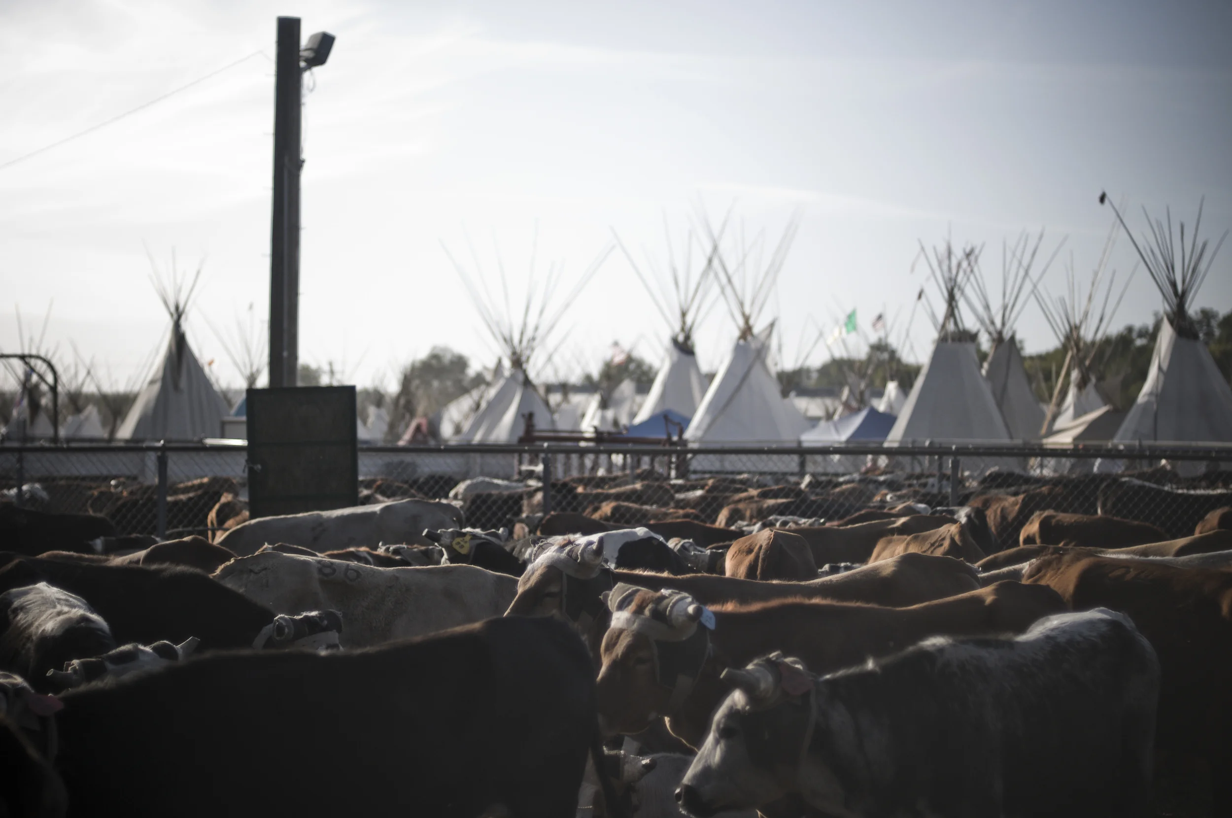 Pendleton Round-Up 2009_3953624010_o.jpg