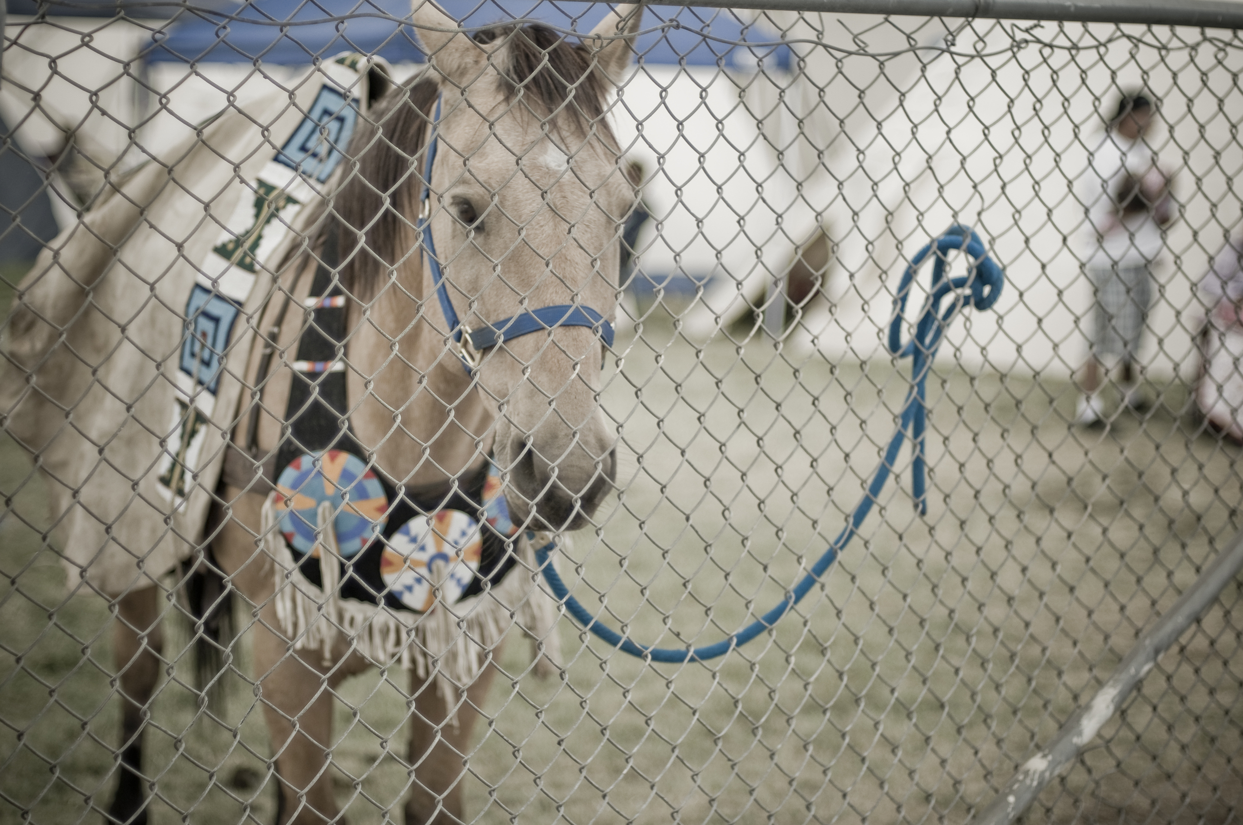 Pendleton Round-Up 2009_3969435018_o.jpg