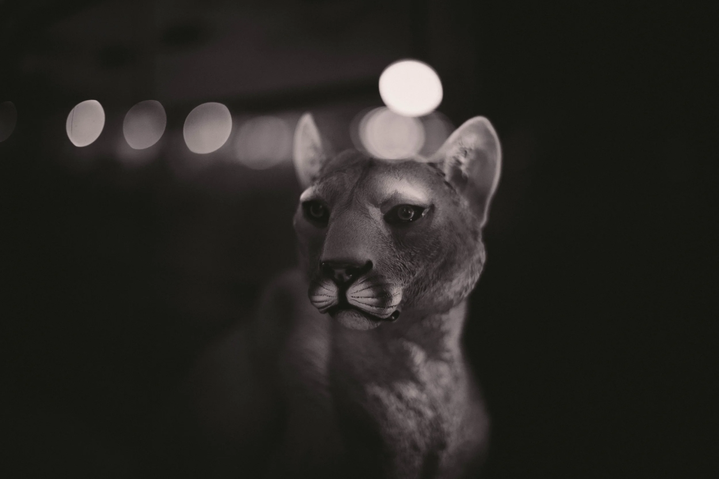 Eastern Oregon - November 2012_8300441755_o.jpg