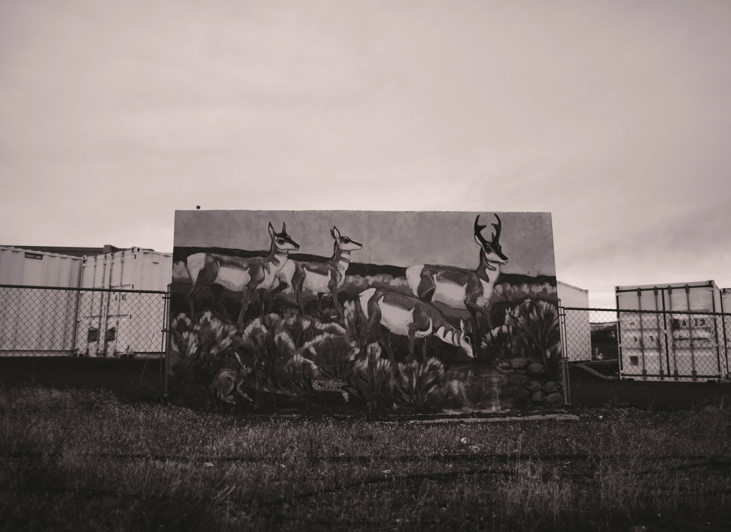 Eastern Oregon - November 2012_8301508332_o.jpg