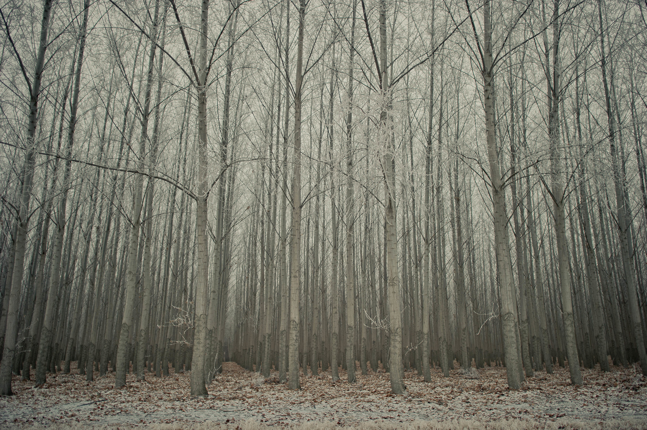 Eastern Oregon_7282979236_o.jpg