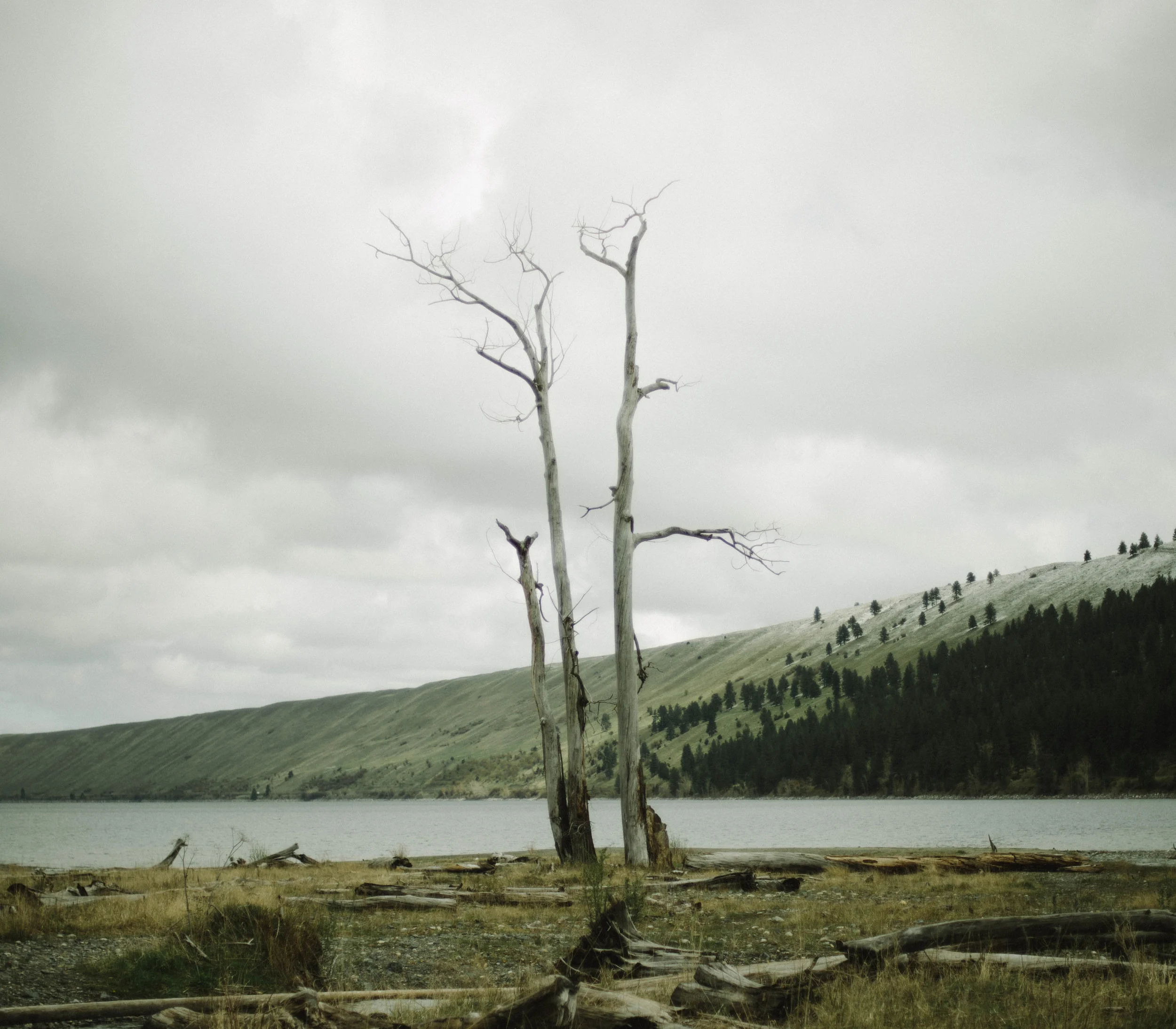 Eastern Oregon_8332442720_o.jpg