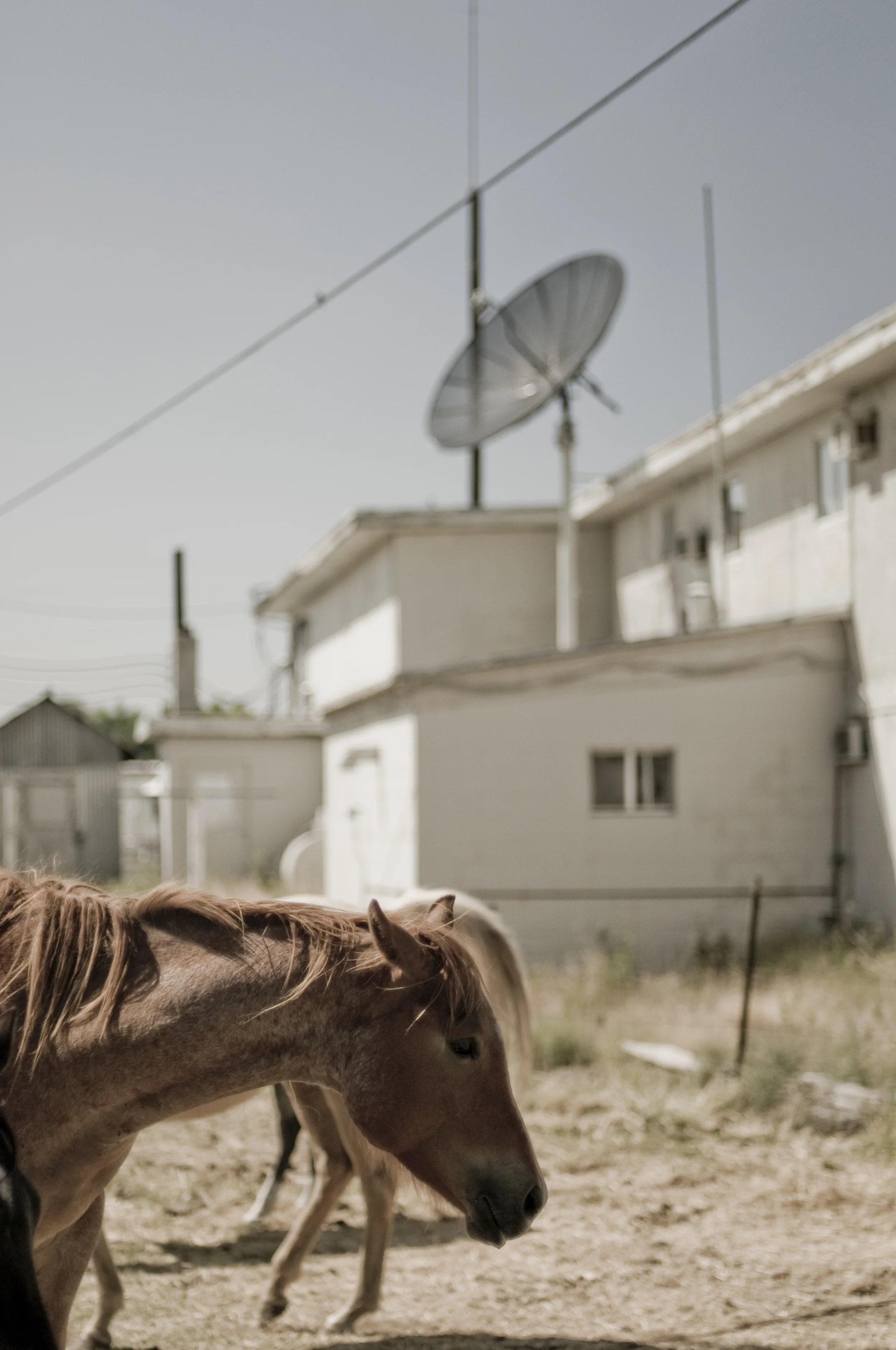 Jordan Valley, OR_4930882125_o.jpg