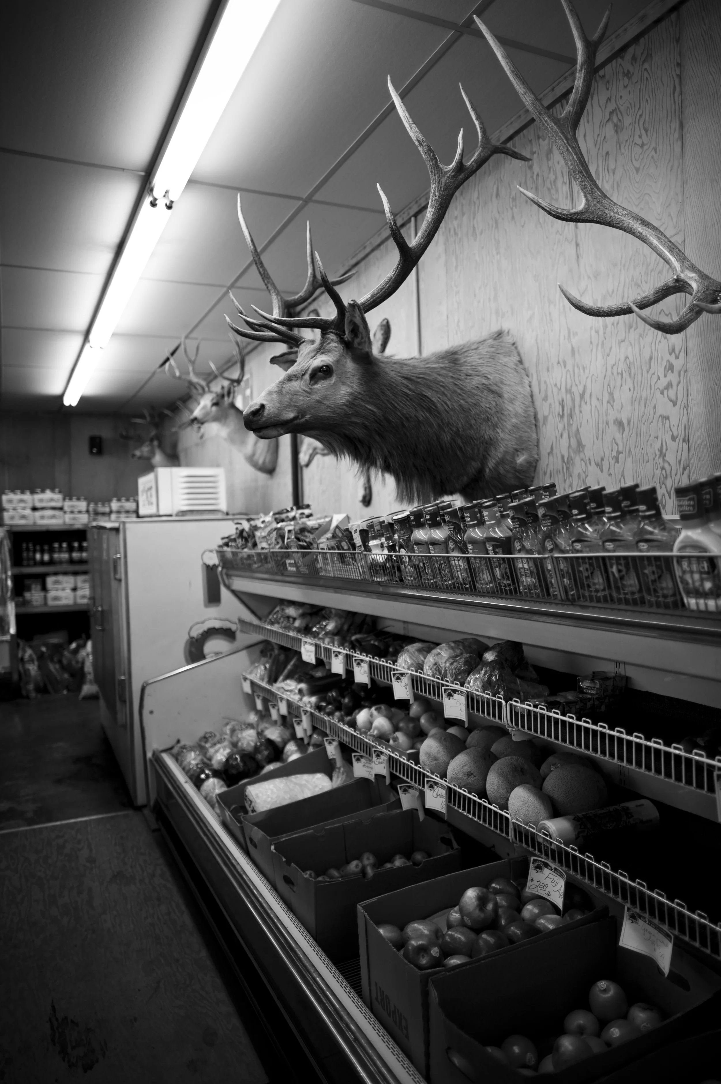 Richland, OR_4931500226_o.jpg