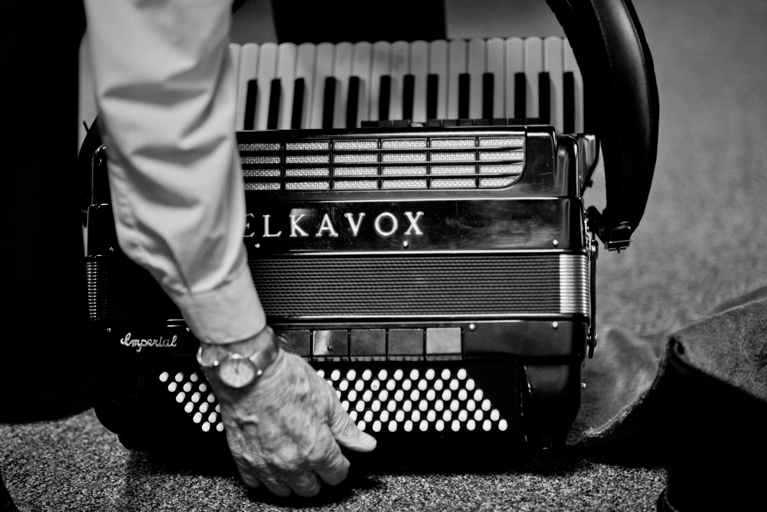 Accordion-4412.jpg