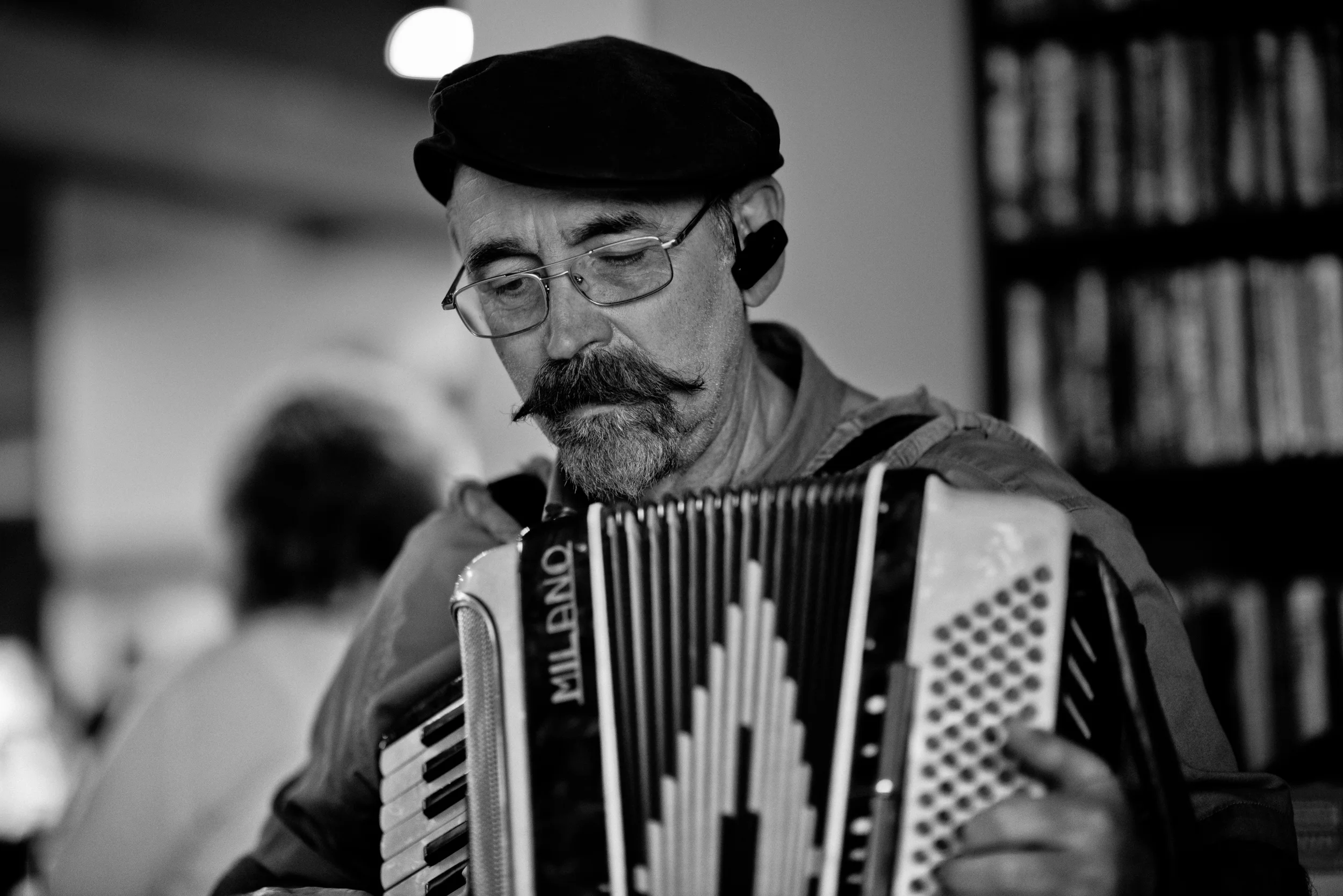 Accordion-4197.jpg