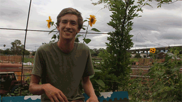Untitled-2.gif