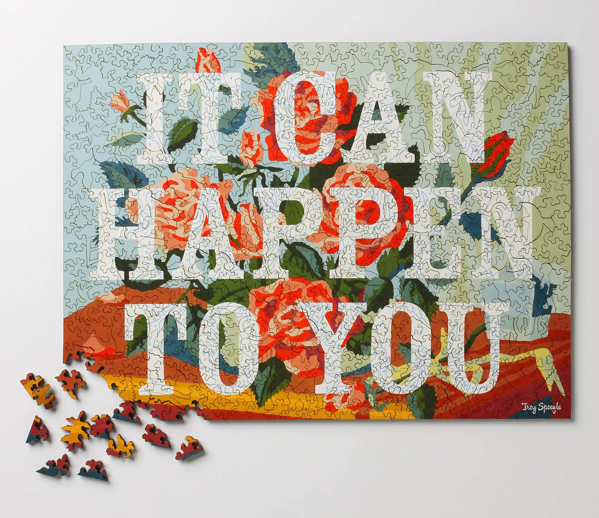 ItCanHappenPuzzle.jpg