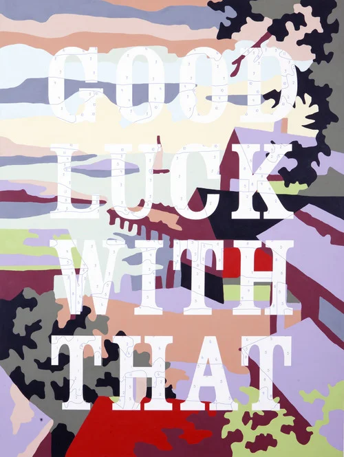 Good Luck With That, 2012, 36 x 48", archival pigment, house paint on canvas, private collection