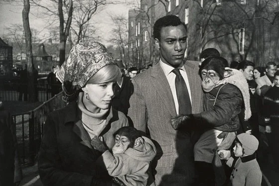 Winogrand_055.jpg
