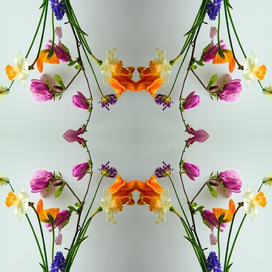 Flowers by Eberle