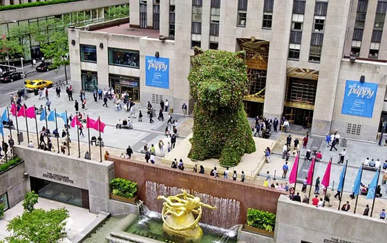 Koons’s 43-foot-tall “Puppy,” with 70,000 live plants was one of the most popular artworks ever shown in Rock Center