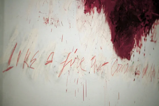 “I never really separated painting and literature because I’ve always used reference.” - Cy Twombly